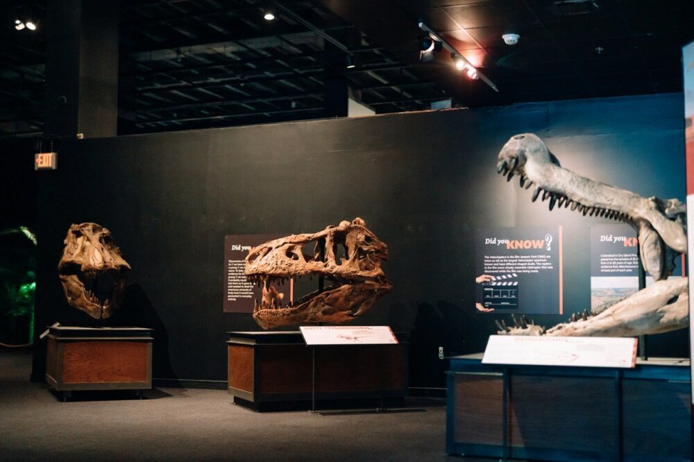Museum of Natural History image