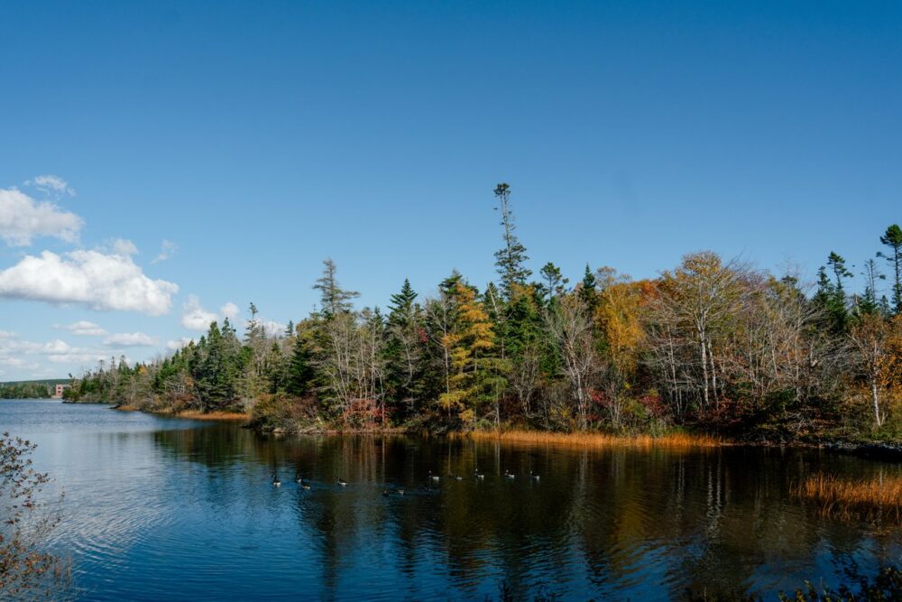 Porters Lake Provincial Park image