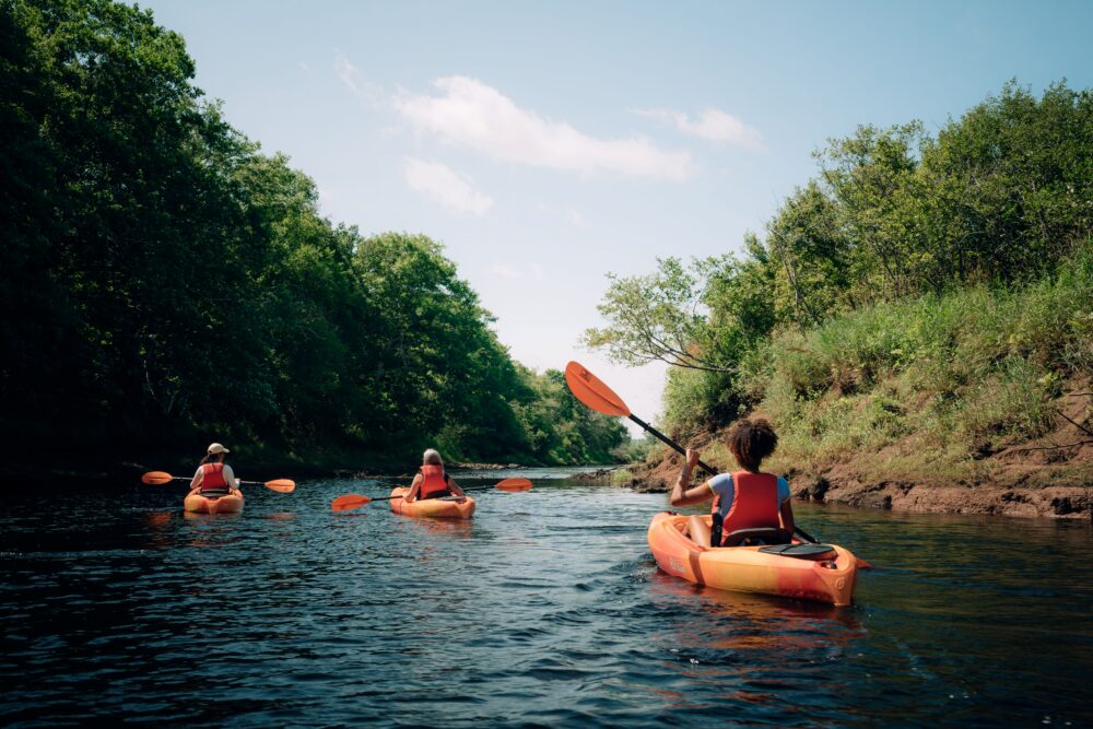 Musquodoboit Valley Outfitters image