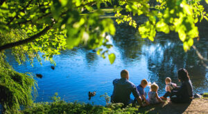 7 Great Places to See Ducks and Geese in the Halifax Region image